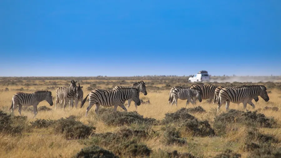 Namibia safari — dramatic desert landscapes