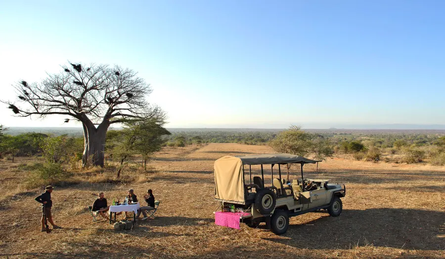 Luxury Tanzania safari — Serengeti and Ngorongoro