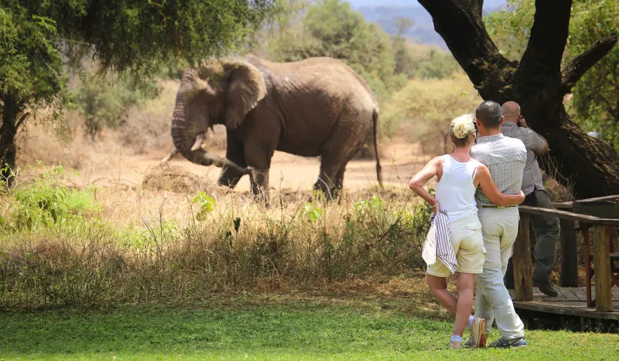 Romantic honeymoon safari camps