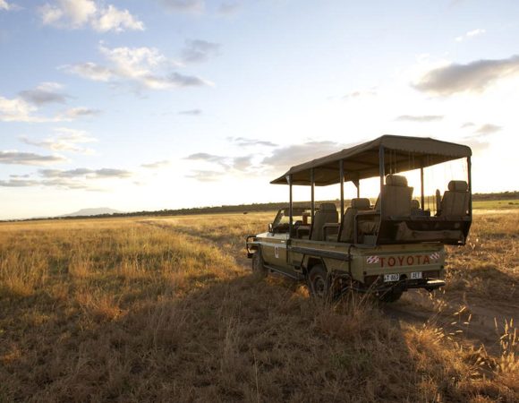 First Time Safari in Africa: Complete Planning Guide