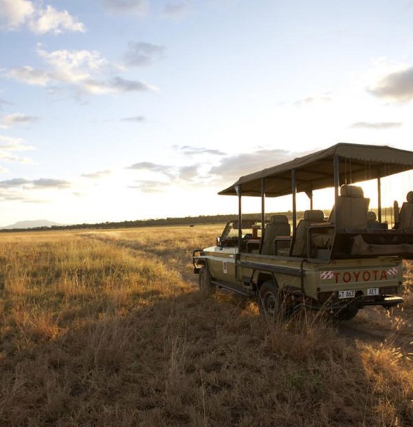 First Time Safari in Africa: Complete Planning Guide