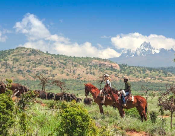 Ultimate Luxury Kenya Safari