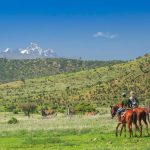 Kenya Wild Adventure