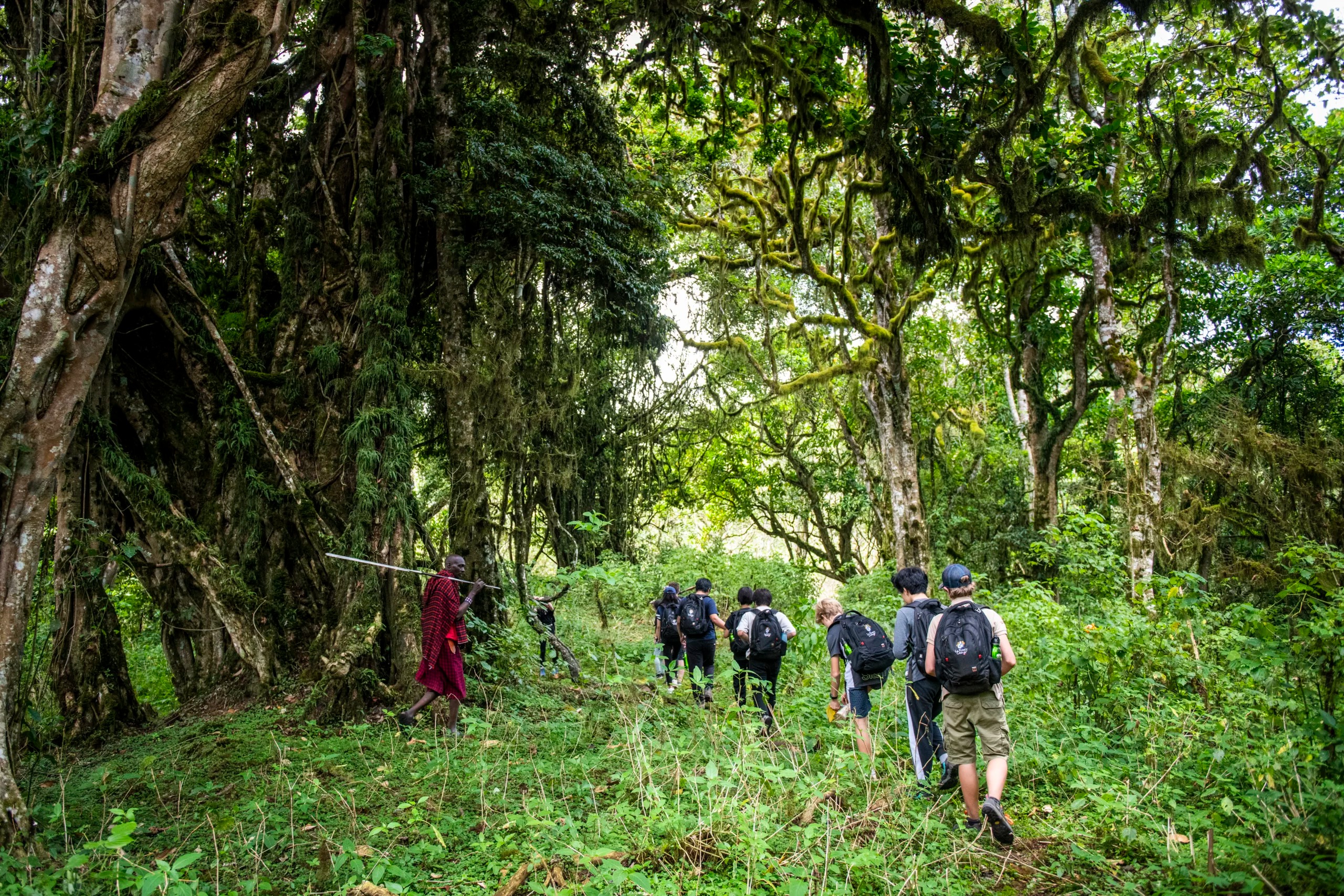 Guided Walking Safaris