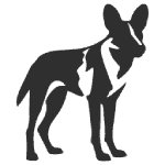 Wild Dog