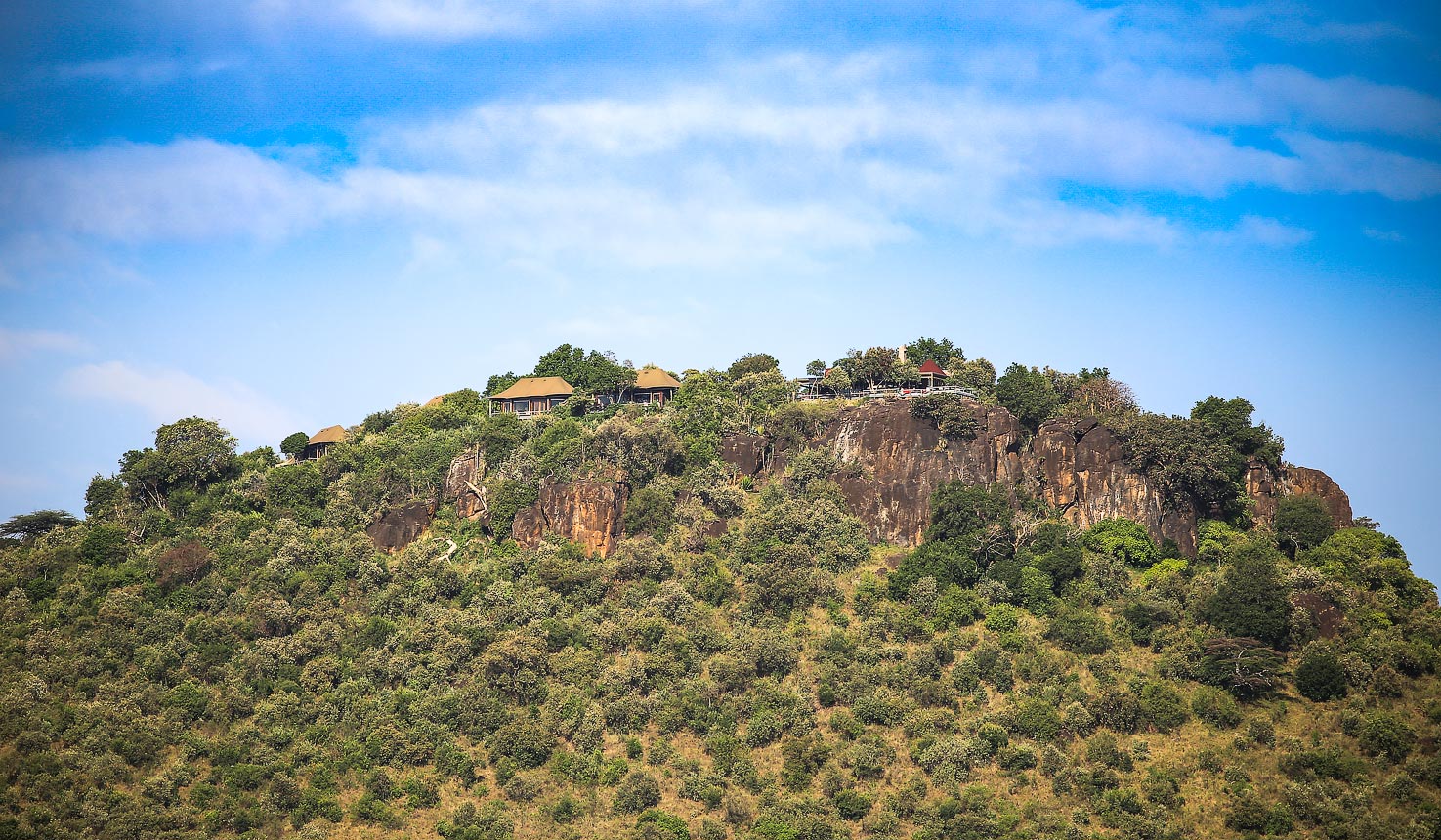 Angama Mara - image 7