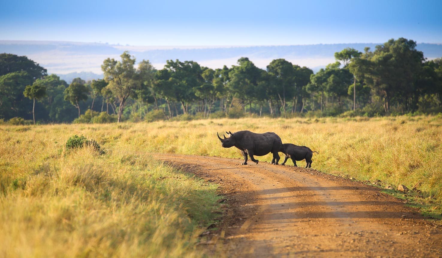 Game Drives