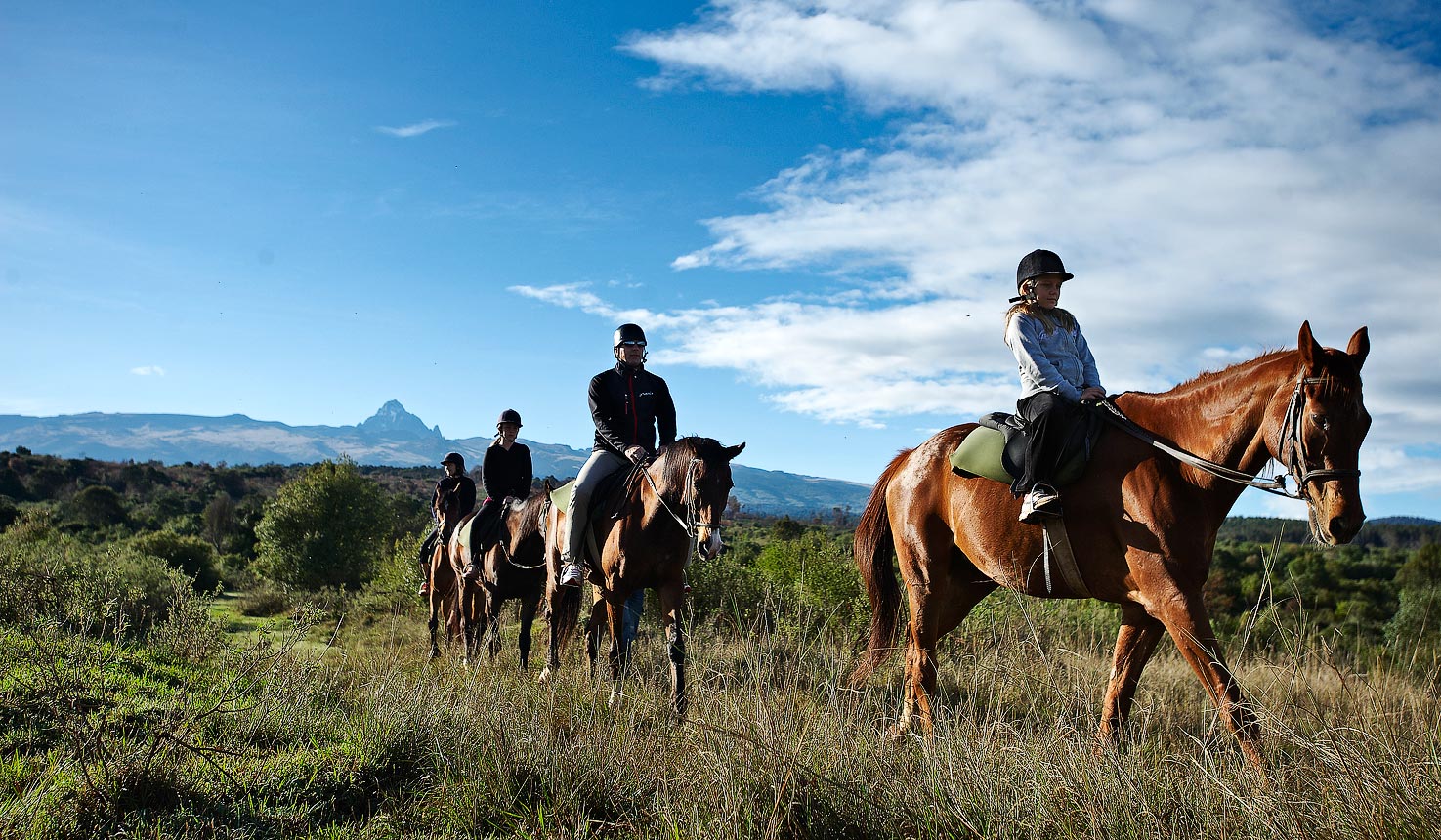 Horseback Safaris