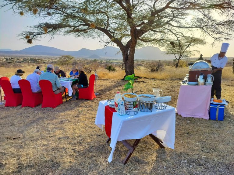 Luxury Safari Trip safari
