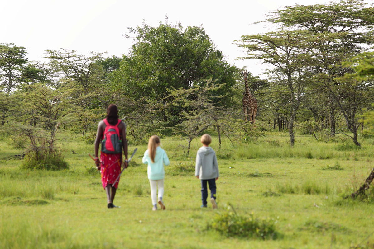 Guided Walking Safaris