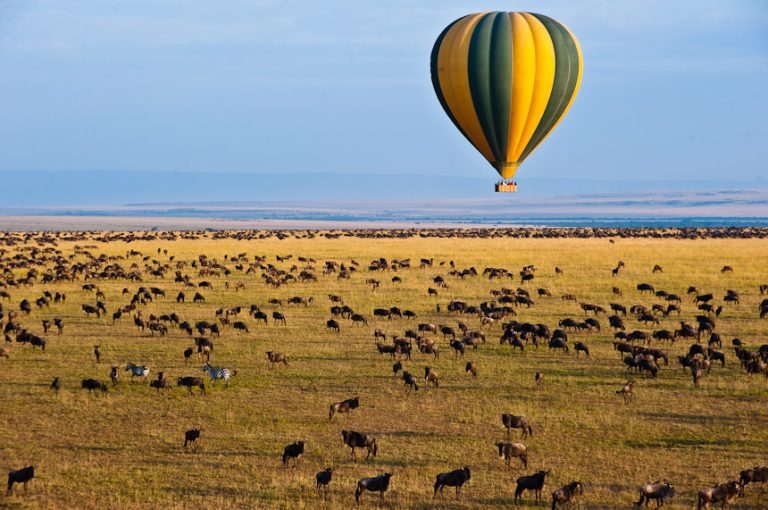 Masai Mara vs Serengeti