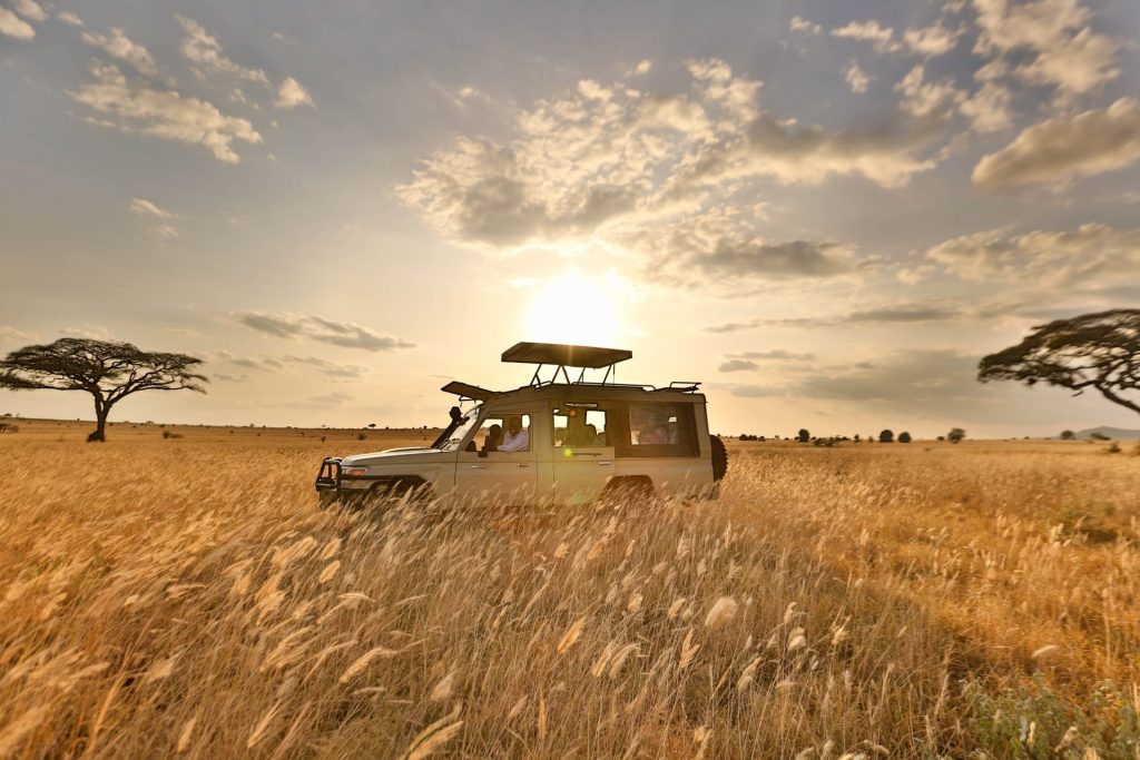 Kenya Luxury Flying Safari