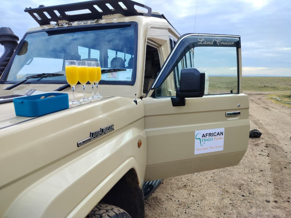 Luxury Family Safari