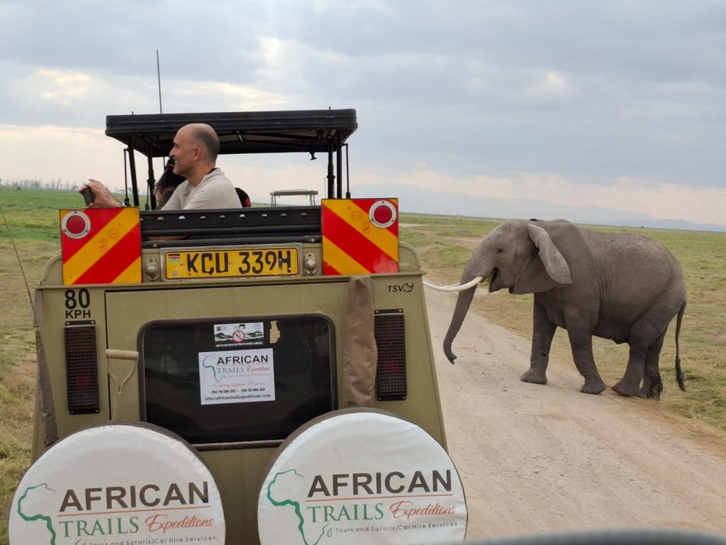 Kenya Coastal Safari