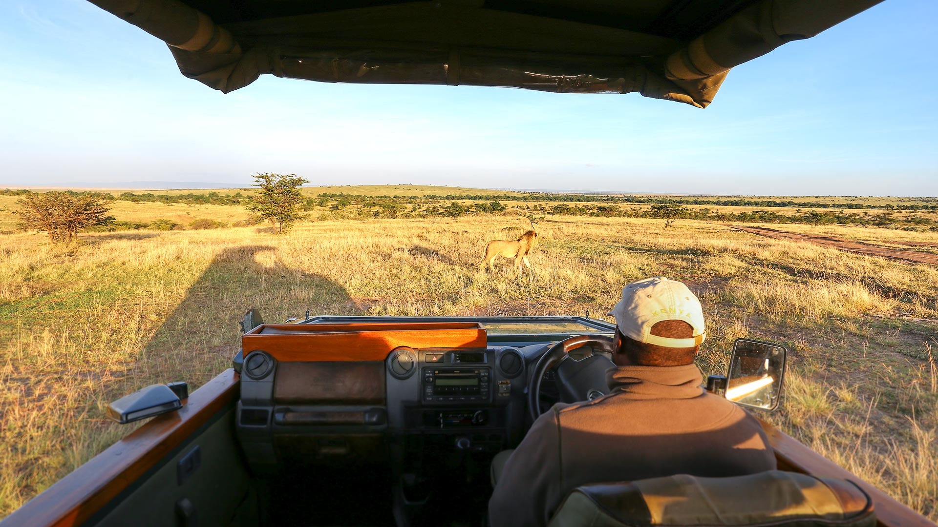 Private Game Drives — Day & Night