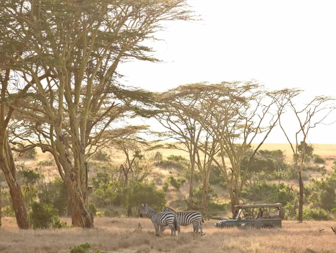 Lengishu House - image 12