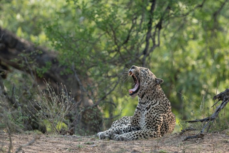 Soul of Kenya — African Trails Expeditions