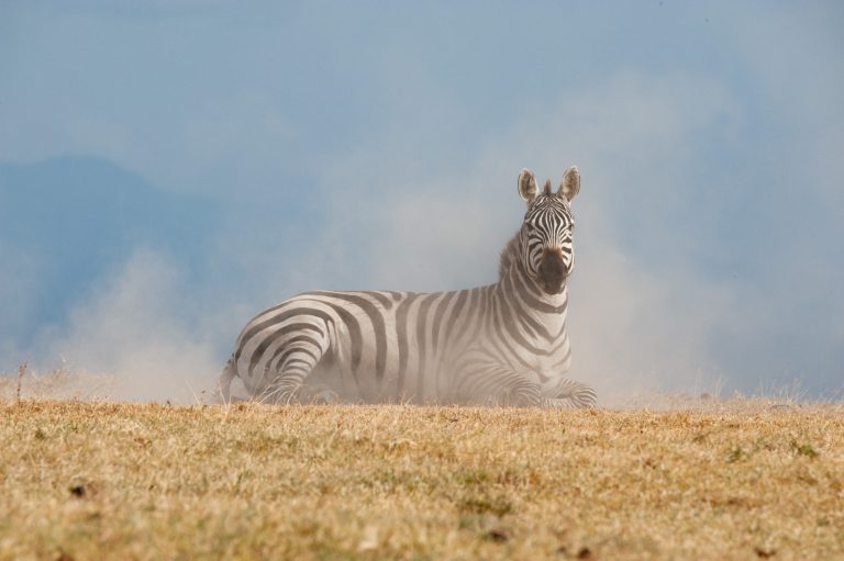 Echoes Of Tanzania — African Trails Expeditions