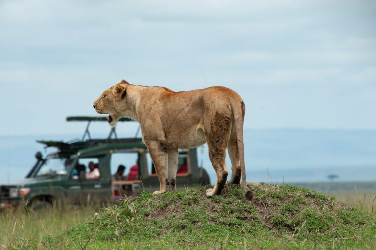 Maasai Mara, Kenya