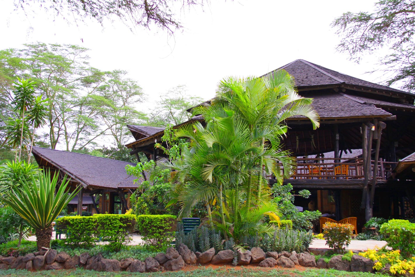 Ol Tukai Lodge luxury lodge, Amboseli