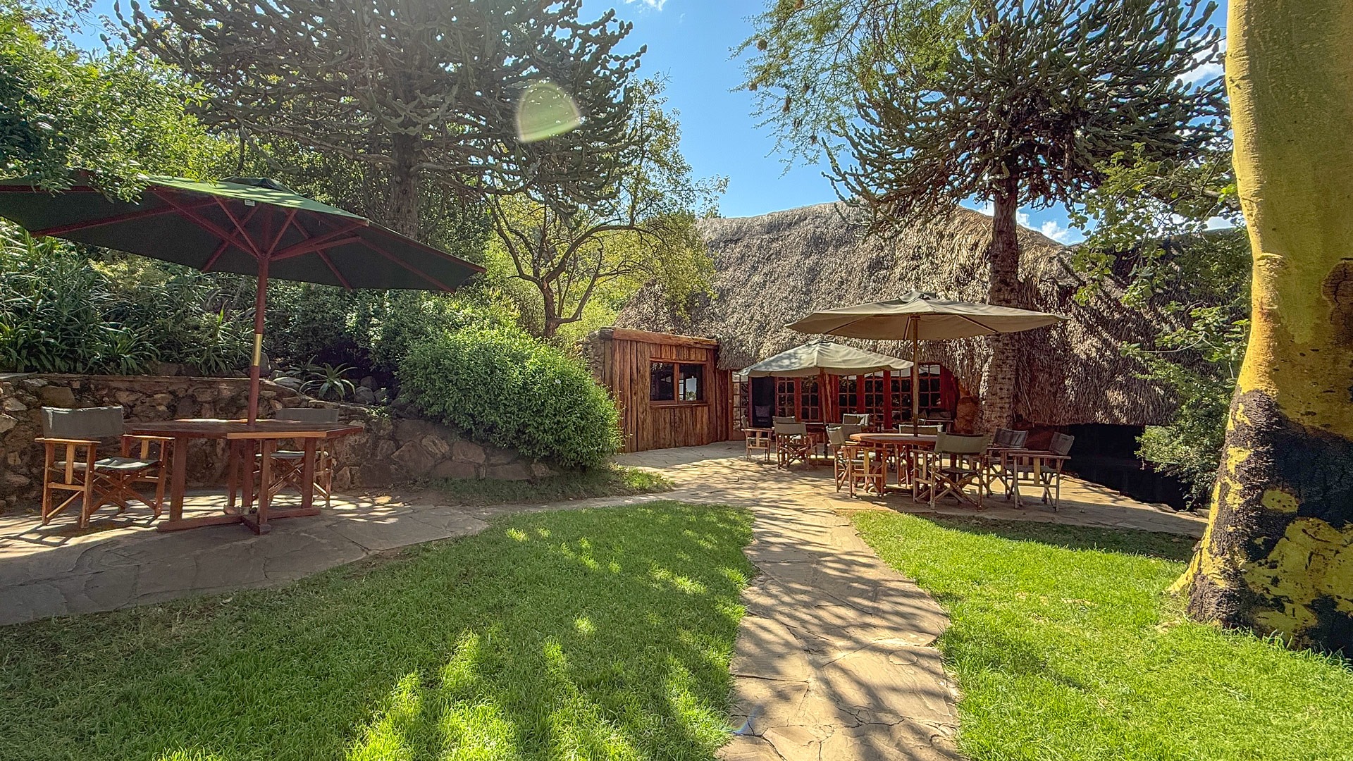Borana Lodge - image 5