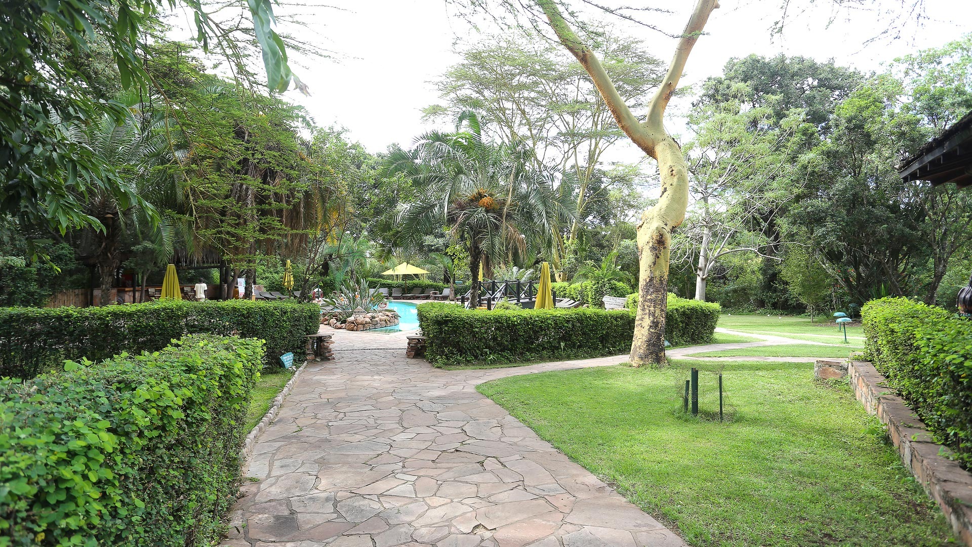 Sarova Mara Game Camp - image 3