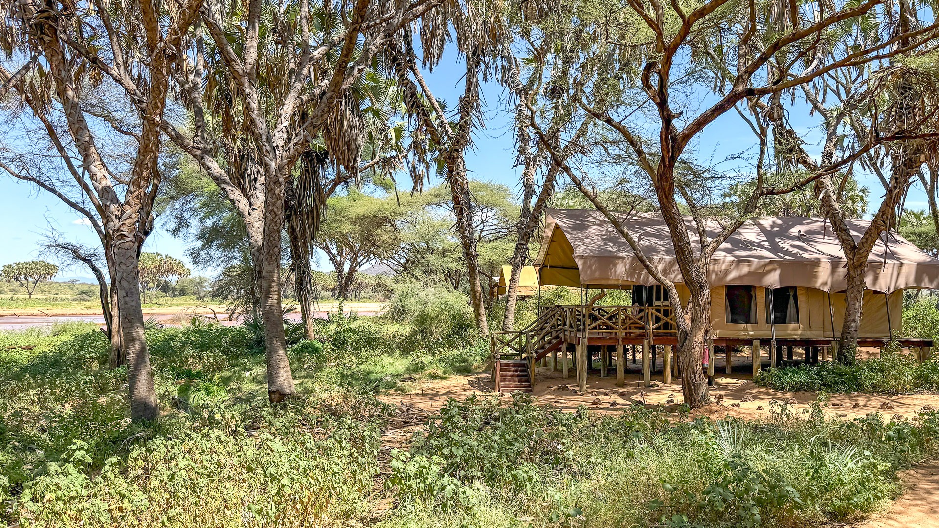 Elephant Bedroom Camp, Samburu