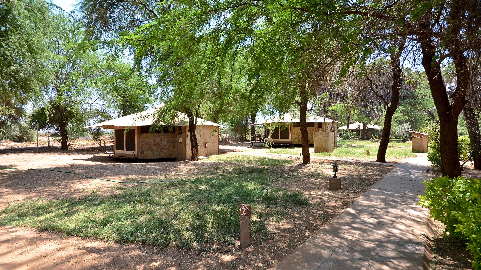 Ashnil Samburu Camp - image 2