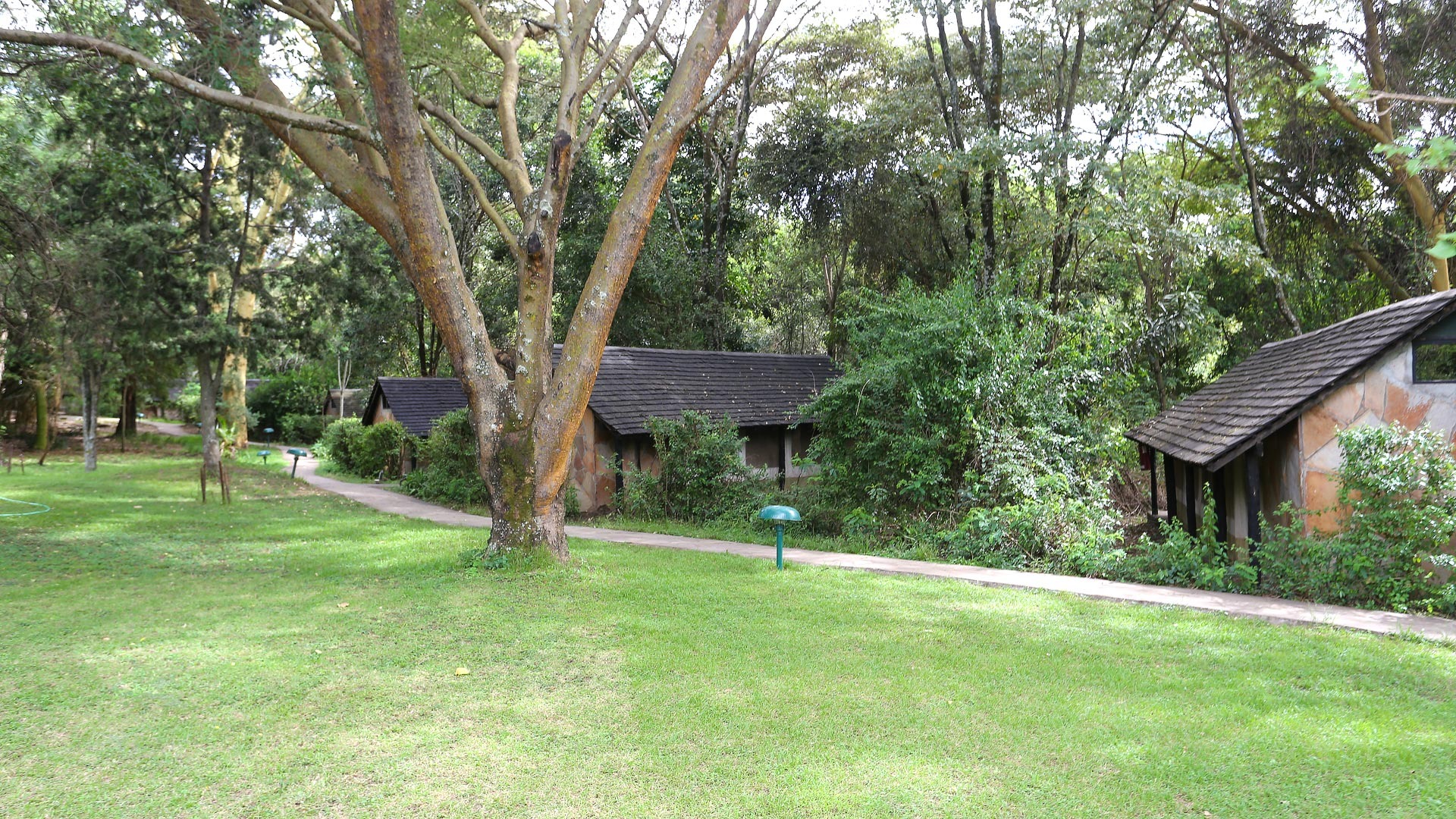 Sarova Mara Game Camp - image 5