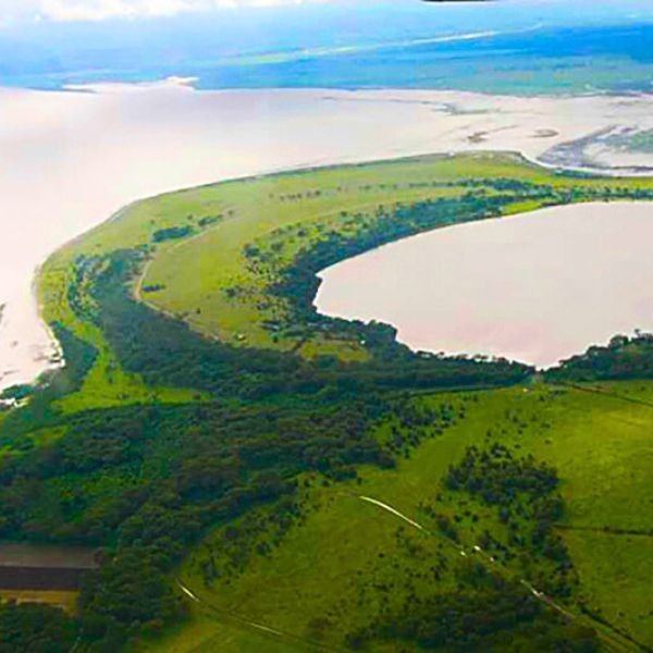 Crescent Island Walking Safari