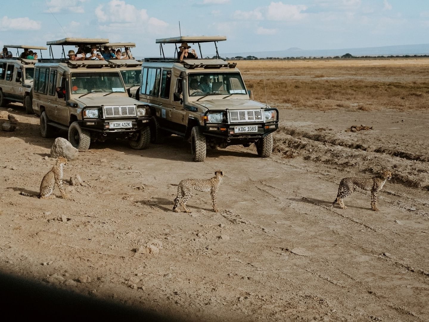 Night Game Drives