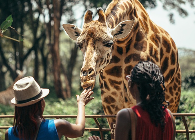 Sarova Panafric Hotel - image 1