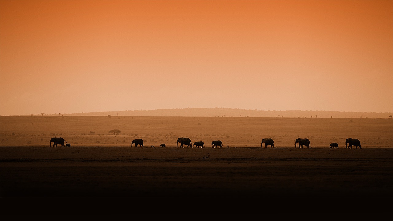 Mara Sopa Lodge - image 4