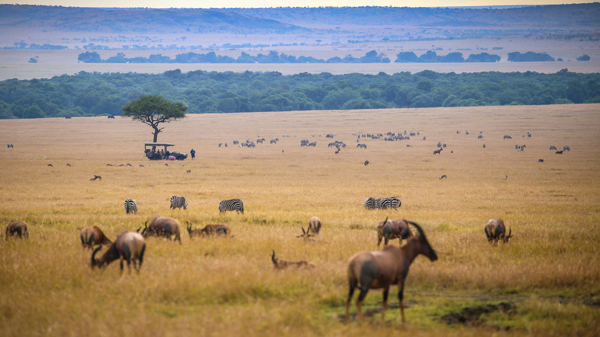 Sundowners in the Bush