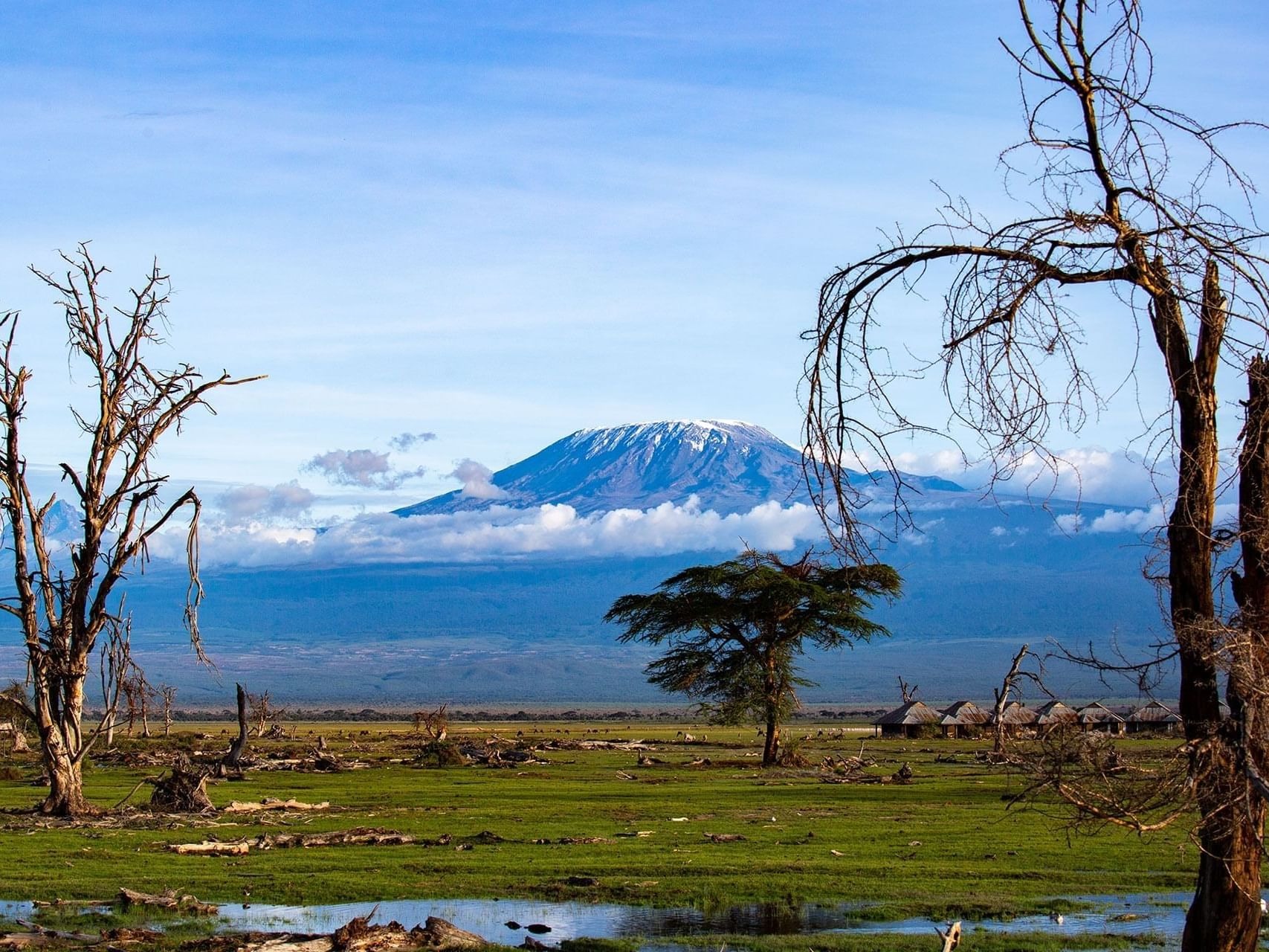 Kilimanjaro Photography