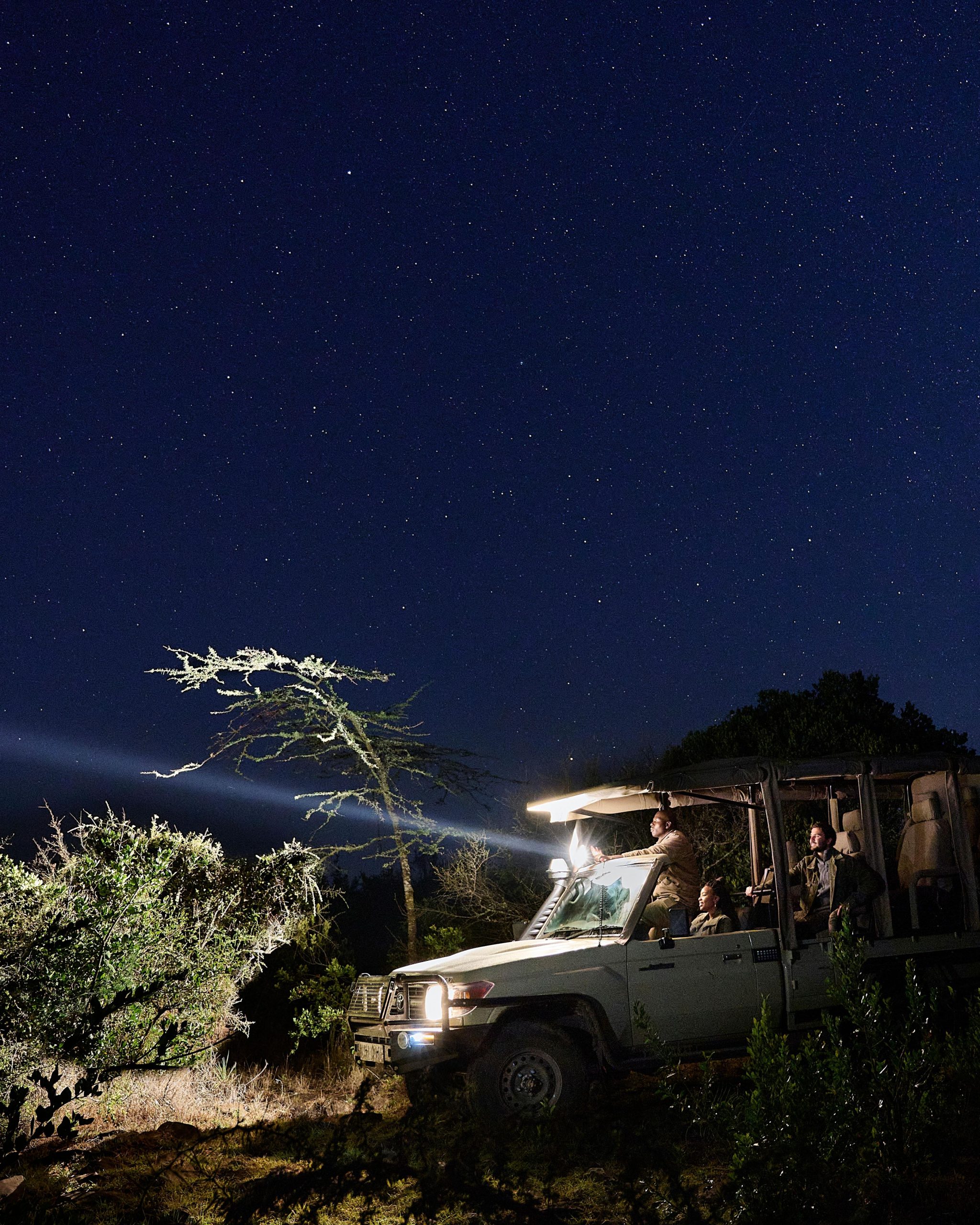 Lion Tracking with Rangers