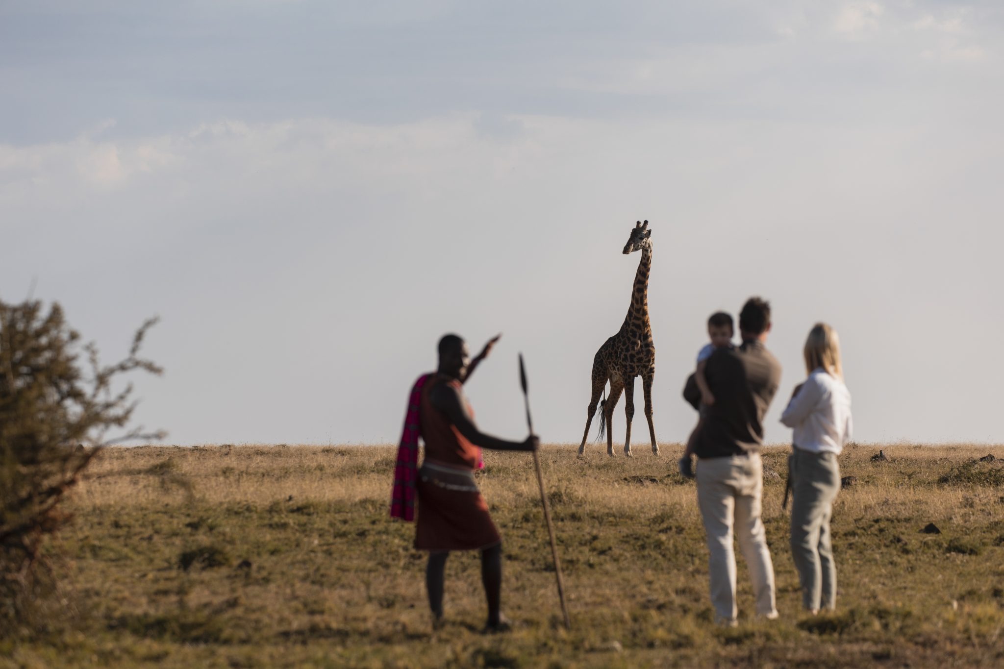  Guided Bush Walks with Maasai Guides