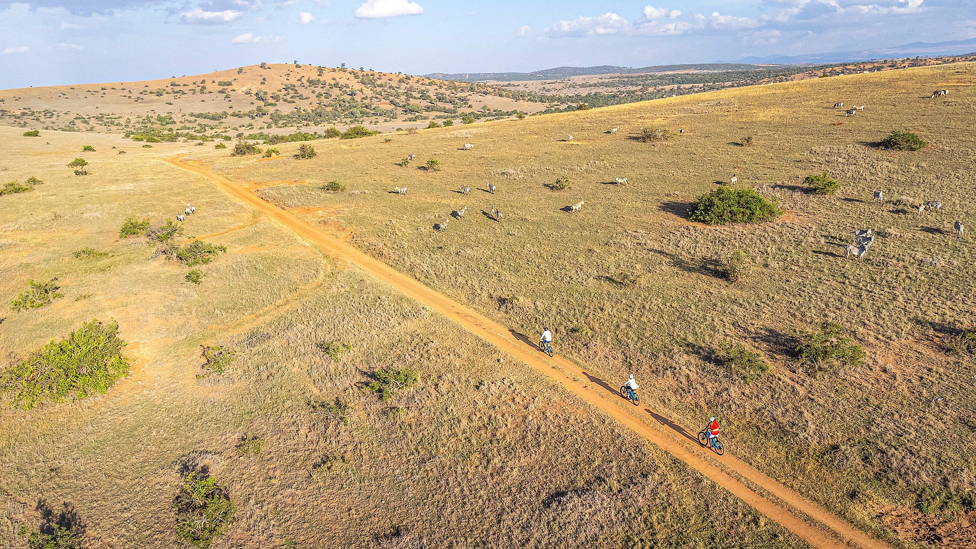 Mountain Biking, E-Biking & Conservation Activities