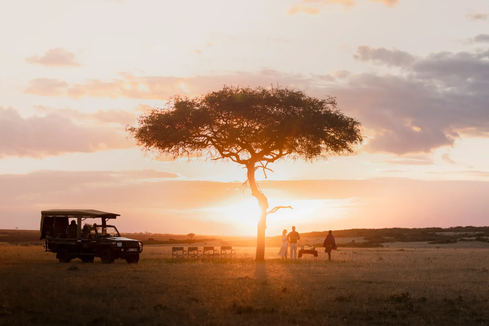 Night Drives & Off-Road Game Viewing