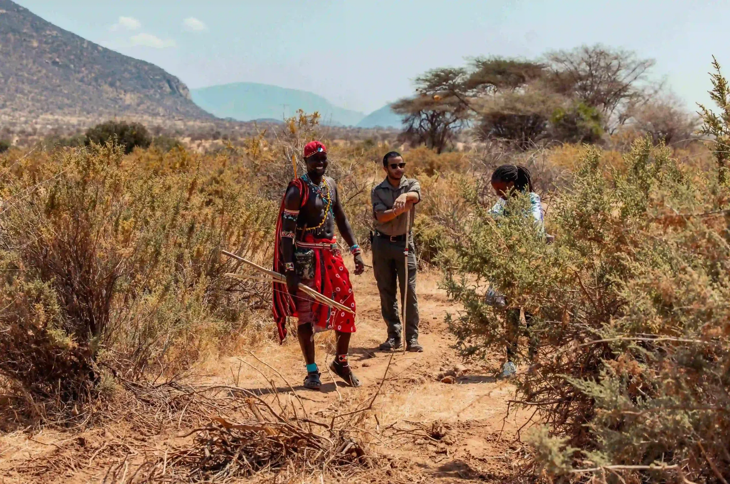  Guided Bush Walks and Bird Walks