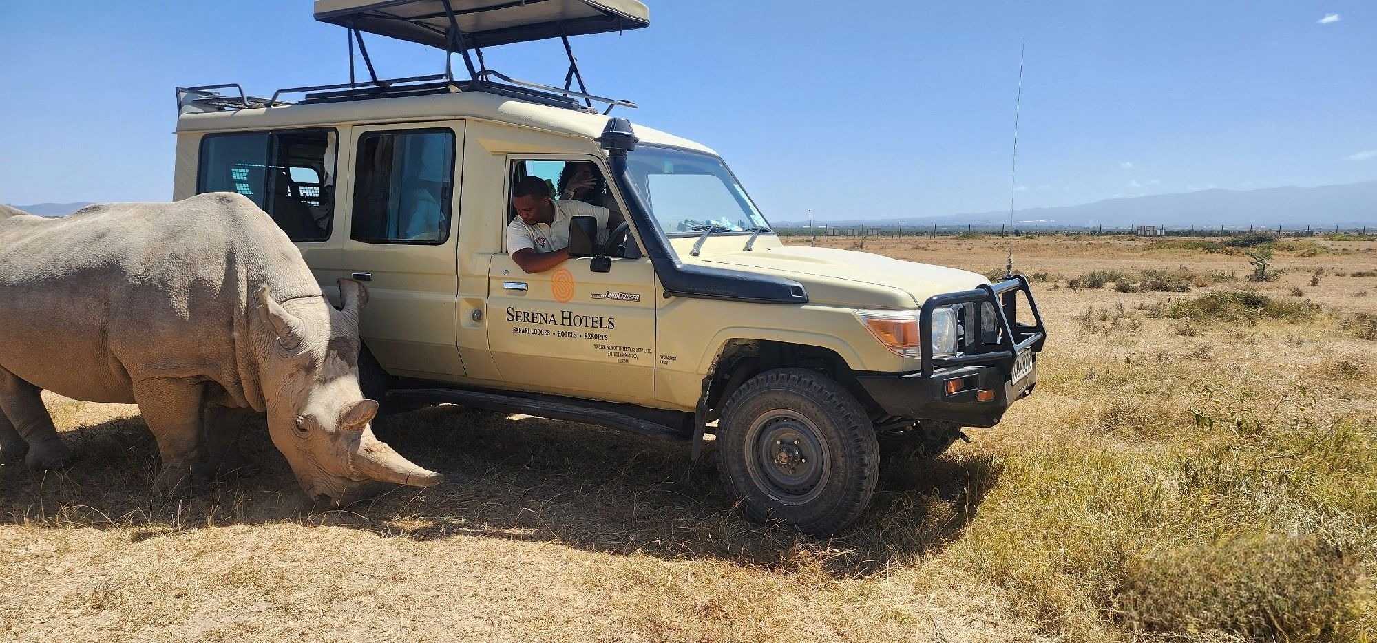 Black Rhino Tracking