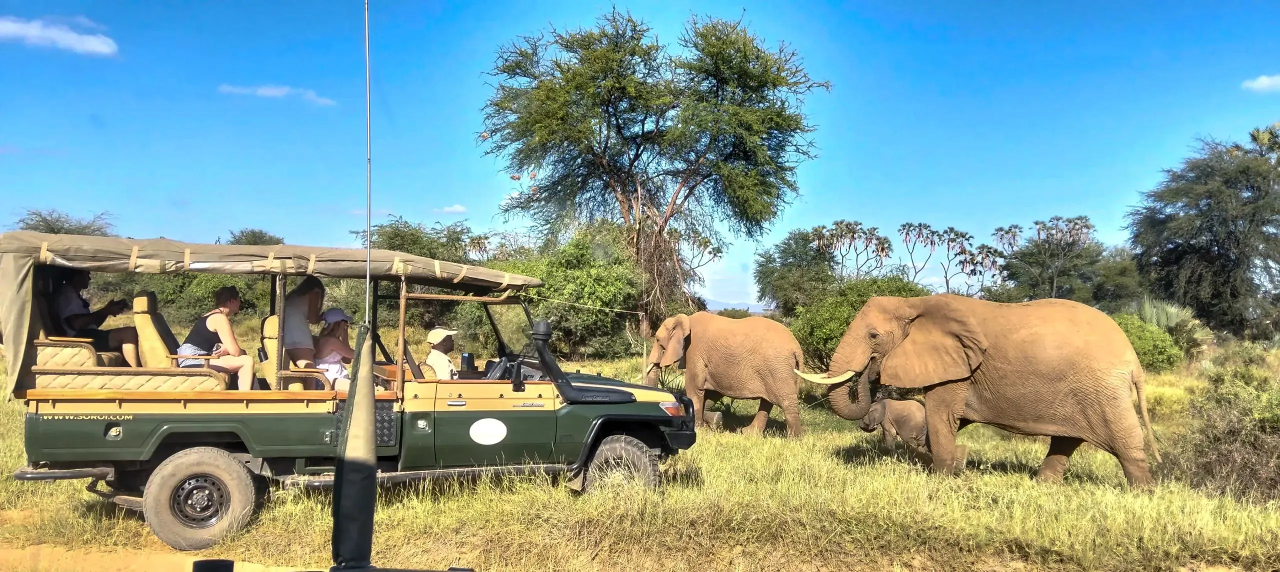  Samburu Special Five Game Drives