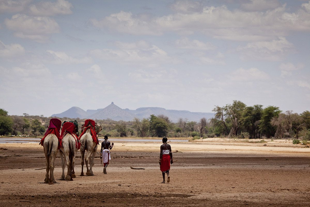 Camel Trekking in the Northern Frontier