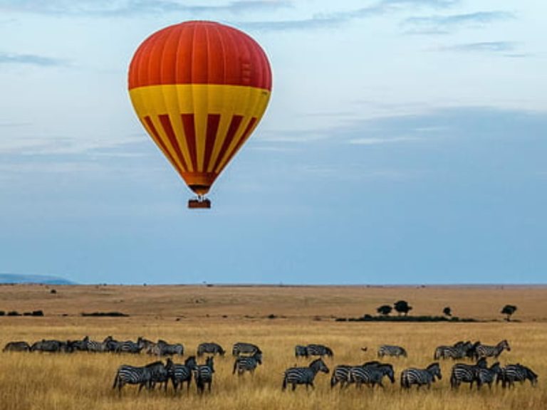 Northern Tanzania Big Five Safari — African Trails Expeditions