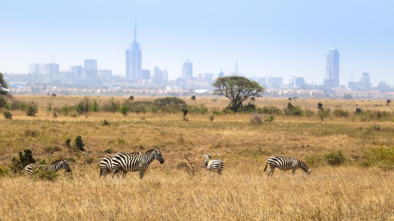 Wildlife safari in Nairobi National Park