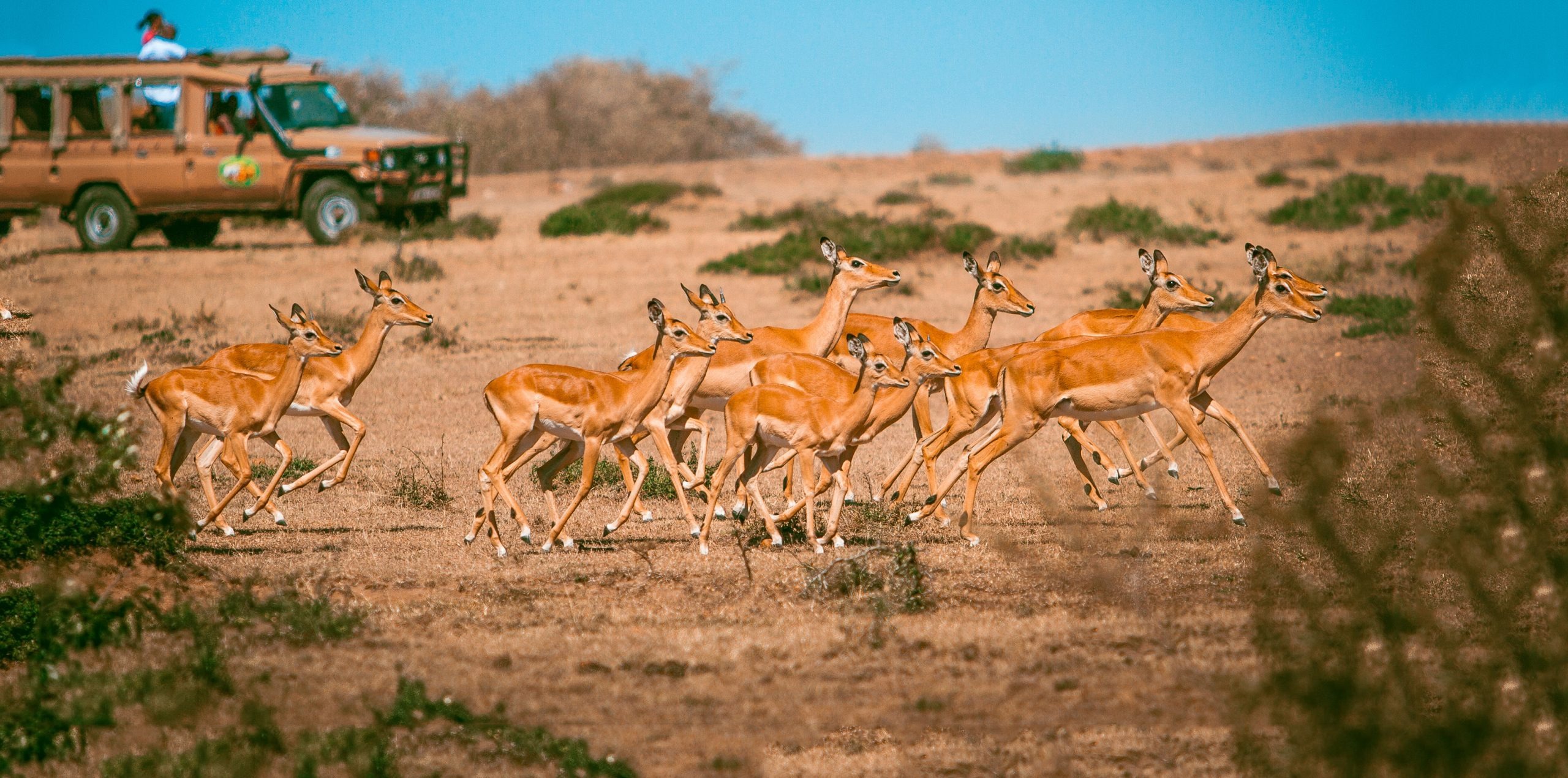 Mara Leisure Camp - image 8