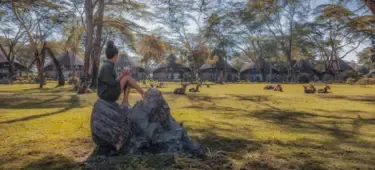 Nature Walks