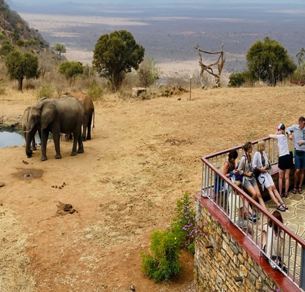 Hippo Point and Waterhole Viewing