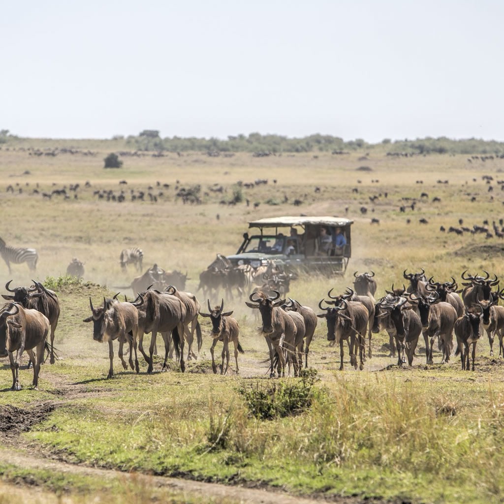 Sentrim Mara Lodge - image 2