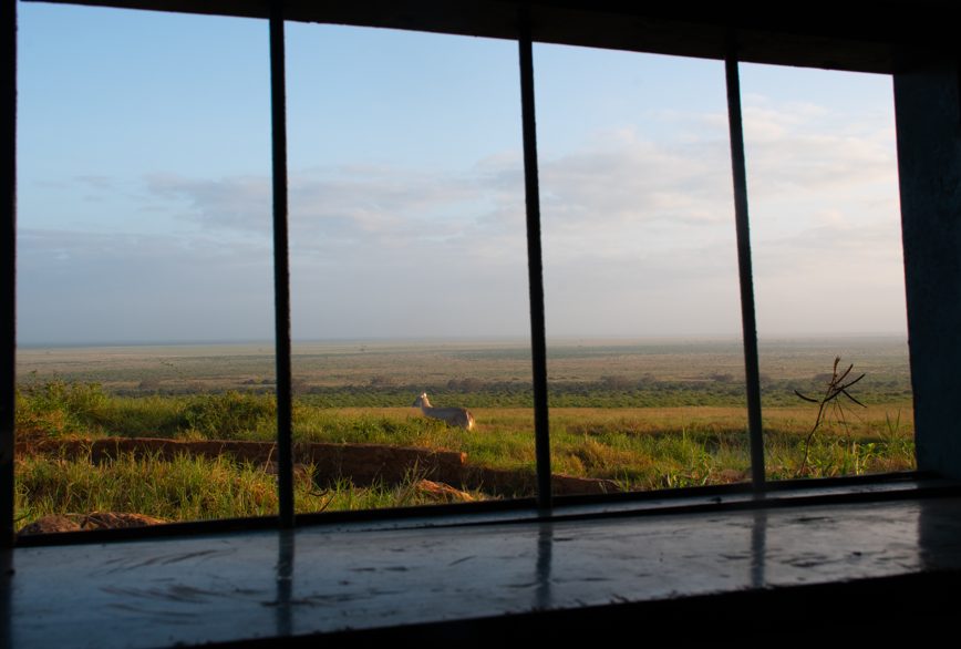 Waterhole Viewing